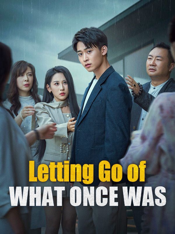 Letting Go of What Once Was poster
