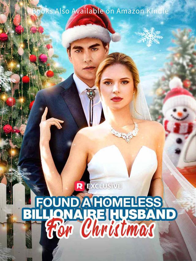 Found A Homeless Billionaire Husband for Christmas poster