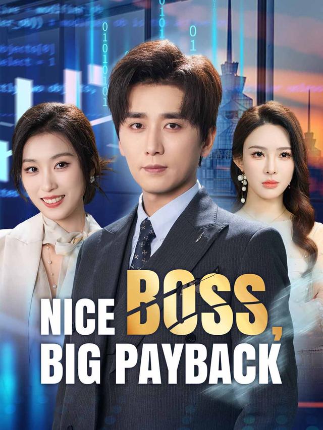 Nice Boss, Big Payback poster