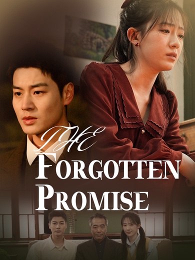 The Forgotten Promise poster