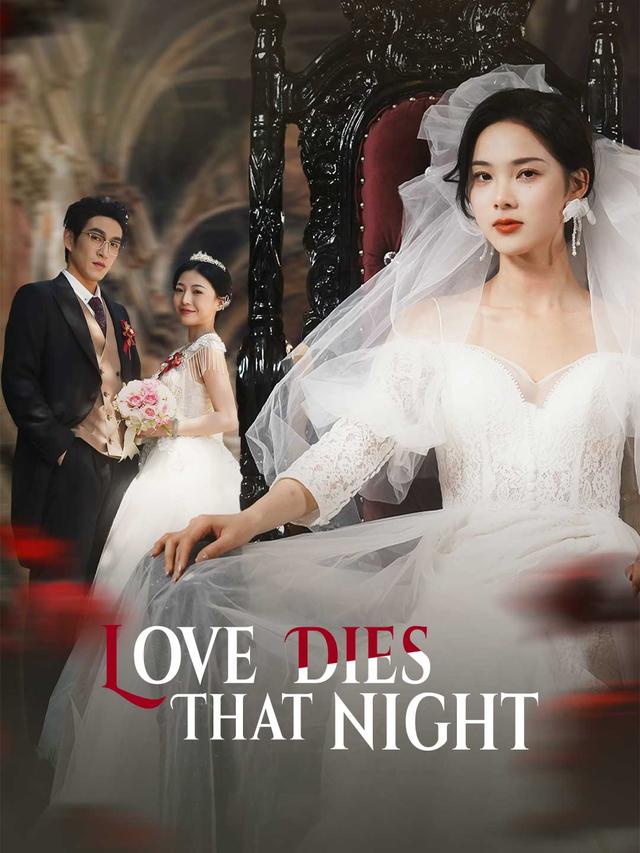 Love Dies That Night poster