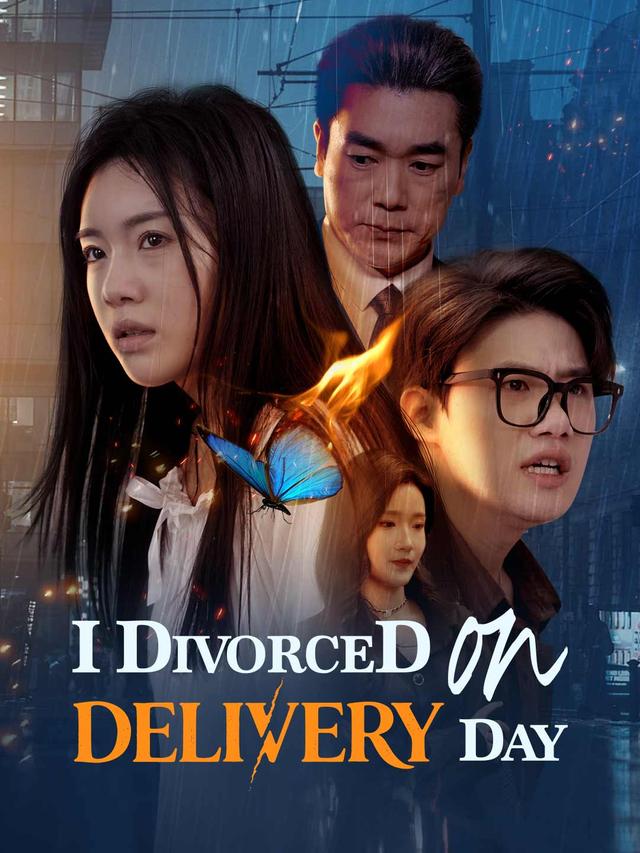I Divorced on Delivery Day poster