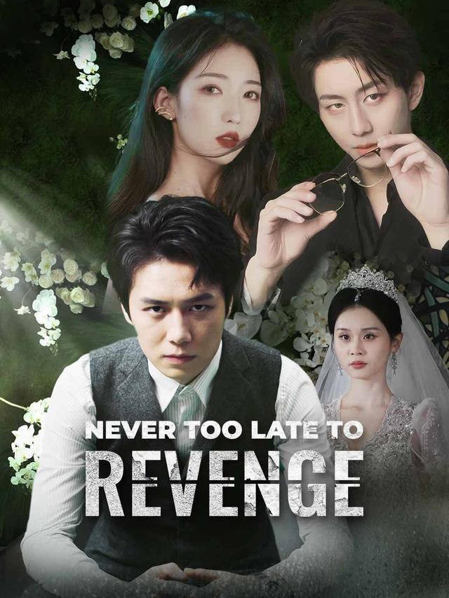 Never Too Late to Revenge poster