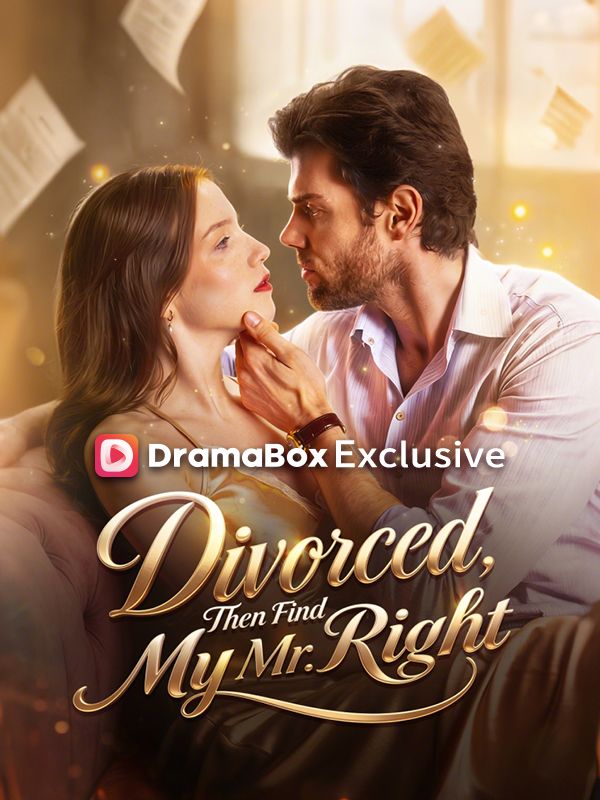 Divorced, Then Find My Mr. Right poster