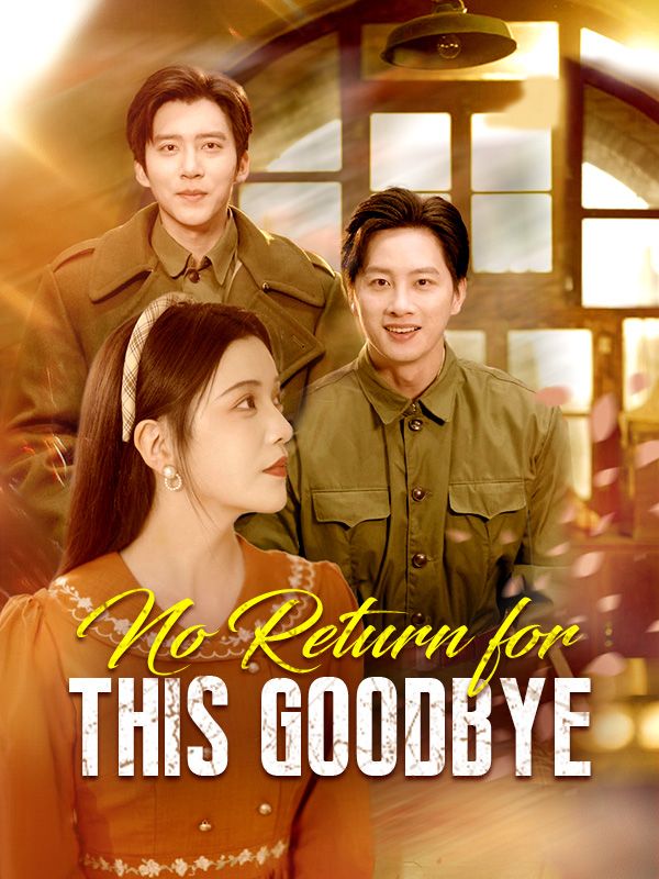 No Return for This Goodbye (DUBBED) poster