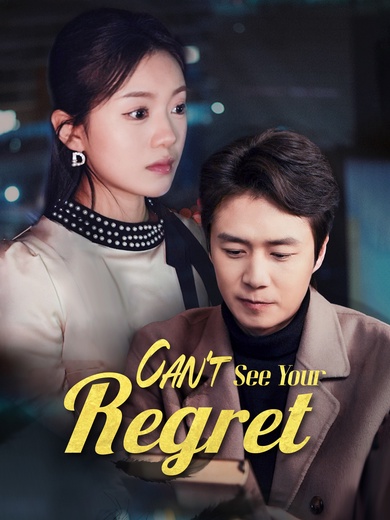 Can't See Your Regret poster