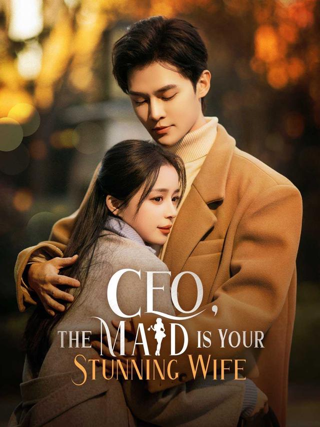 CEO, The Maid is Your Stunning Wife poster