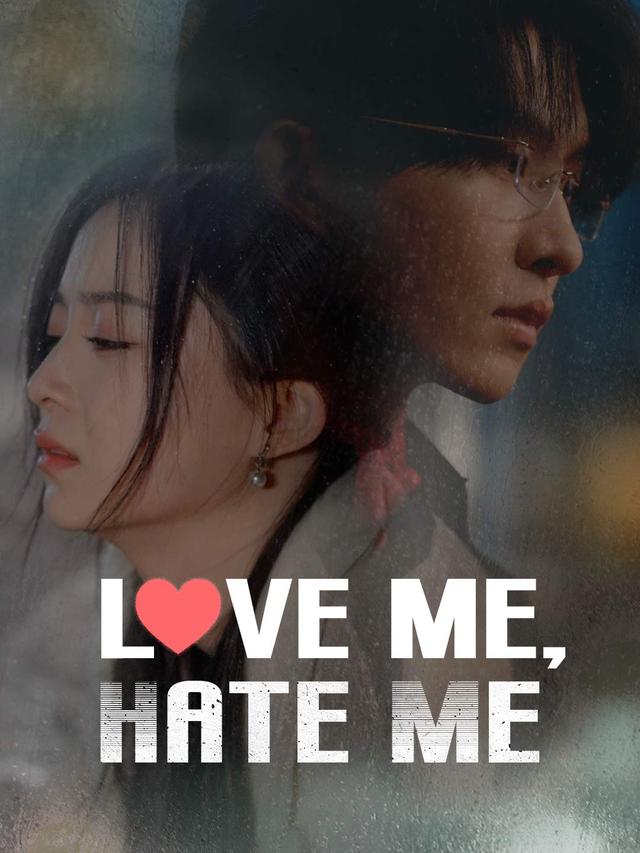 Love Me, Hate Me poster