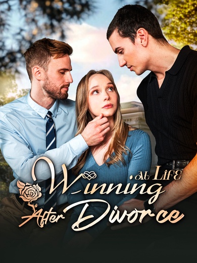 Winning at Life After Divorce poster