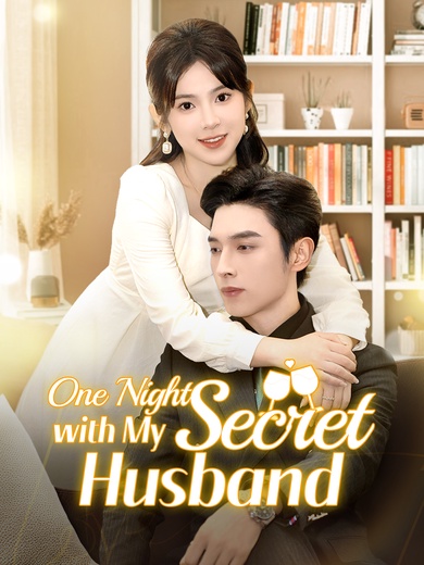 One Night with My Secret Husband poster