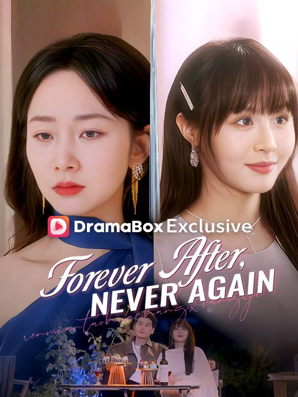Forever After, Never Again (DUBBED) poster