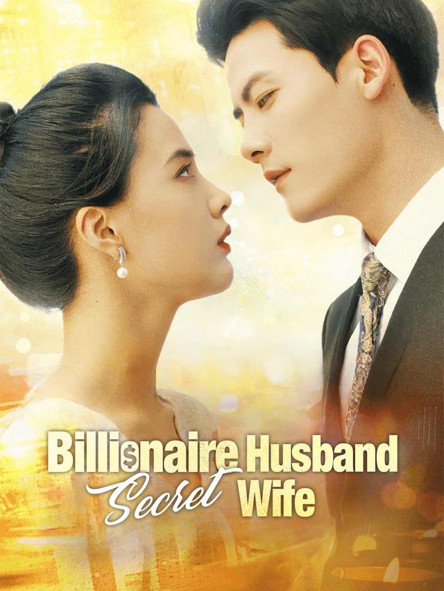 Billionaire Husband, Secret Wife poster
