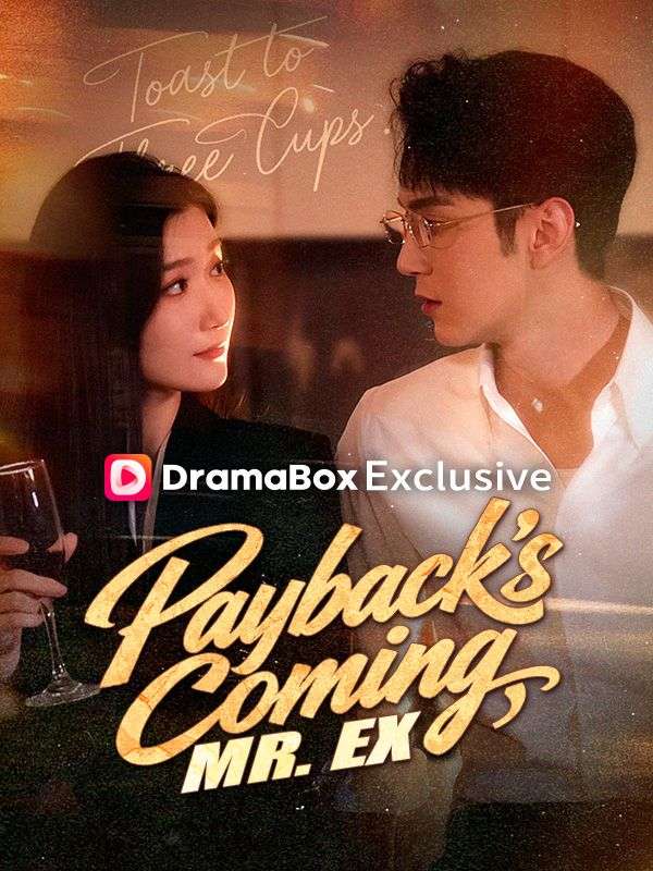 Payback's Coming, Mr. Ex poster