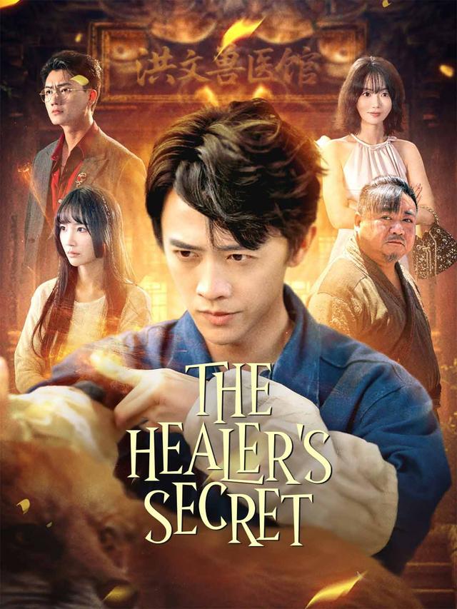 The Healer's Secret poster