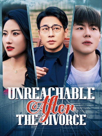 Unreachable After the Divorce poster