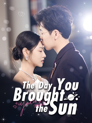 The Day You Brought the Sun poster