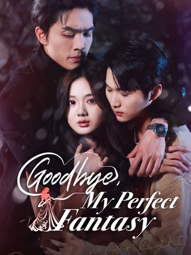 Goodbye, My Perfect Fantasy poster