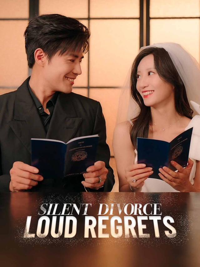 Silent Divorce, Loud Regrets poster