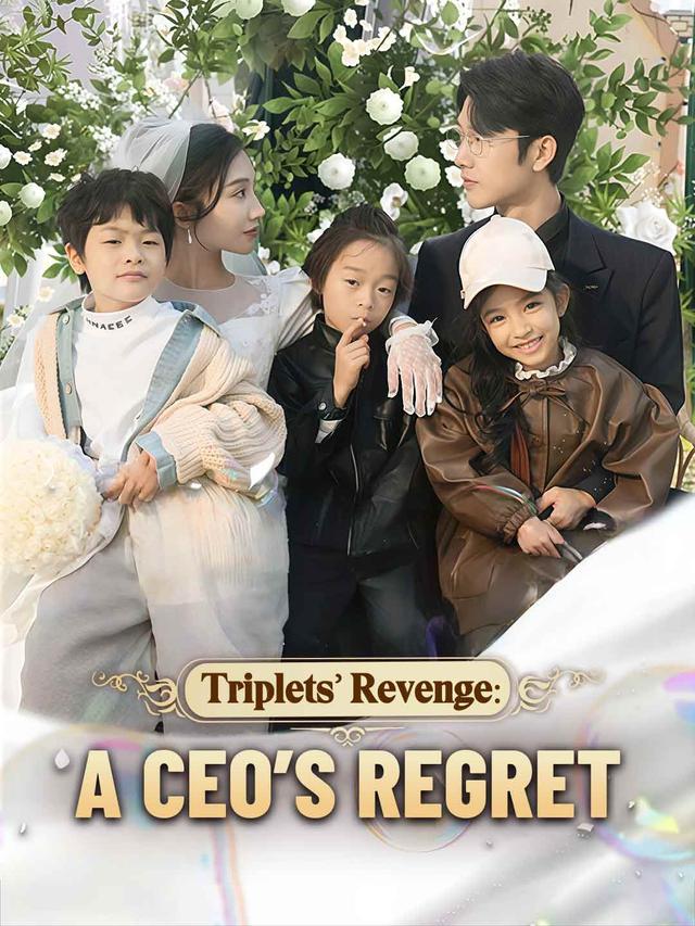 Triplets' Revenge: A CEO’s Regret poster