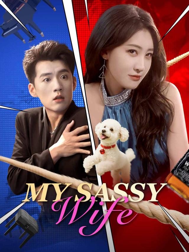 My Sassy Wife poster