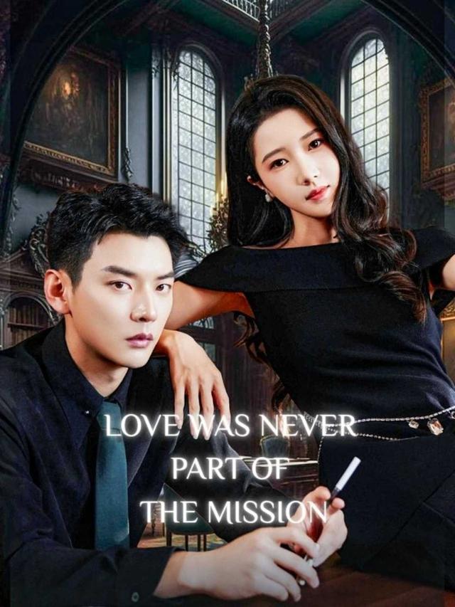 Love Was Never Part of the Mission poster