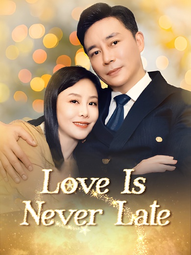 Love Is Never Late poster