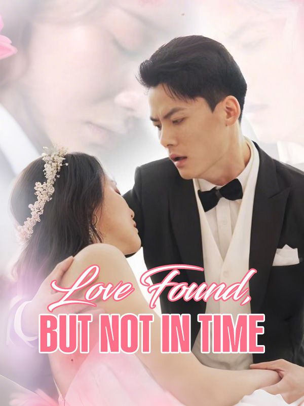 Love Found, But Not in Time poster