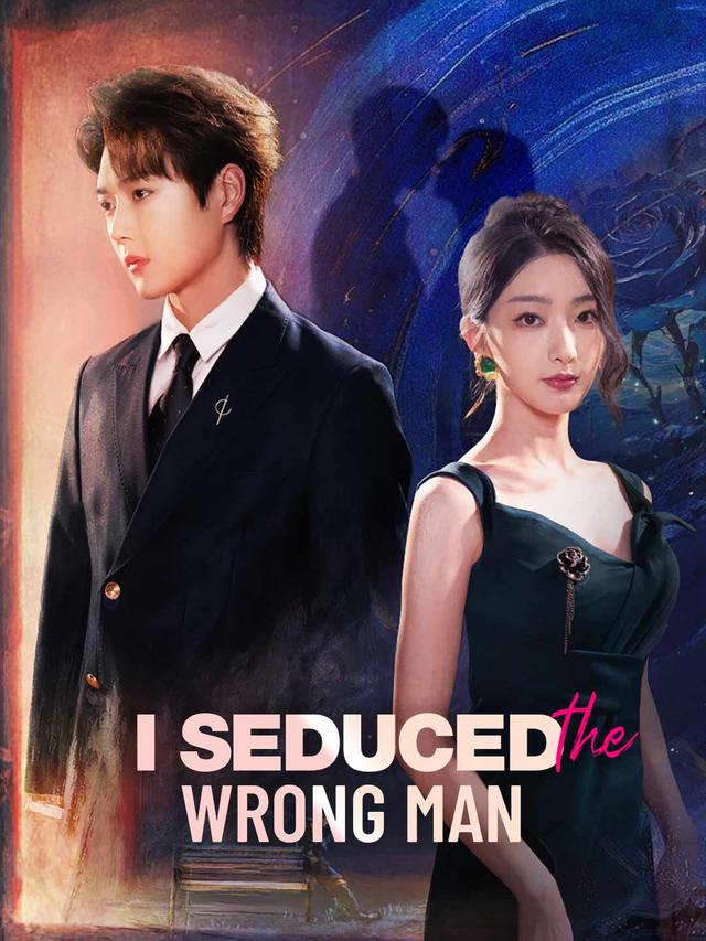 I Seduced the Wrong Man poster