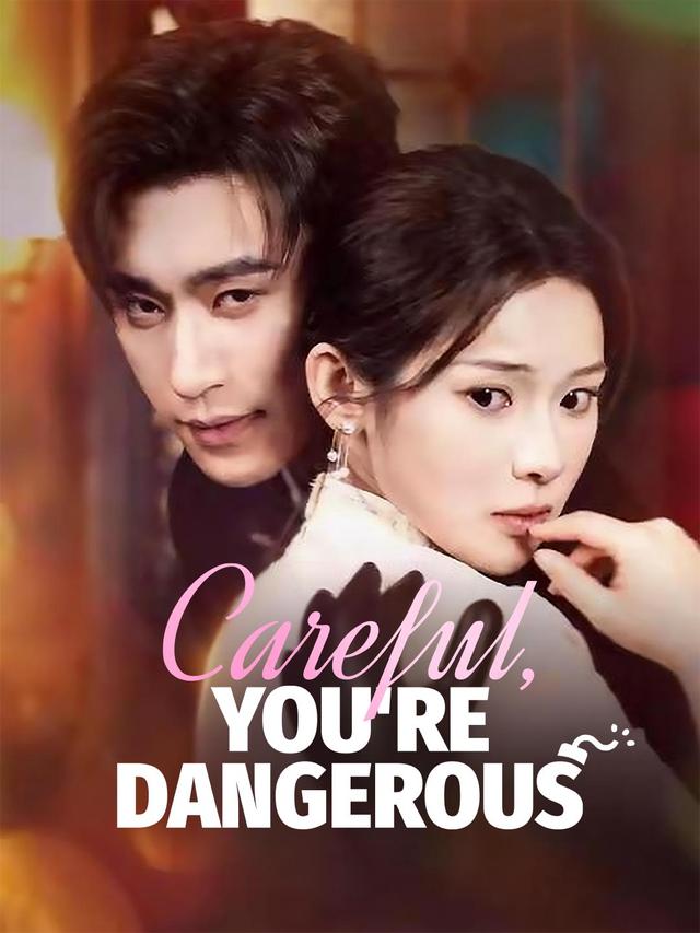 Careful, You're Dangerous poster