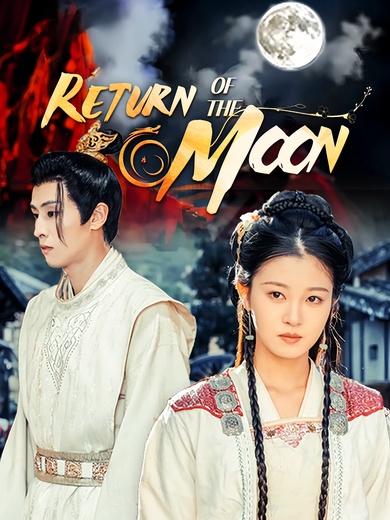 Return of the Moon poster