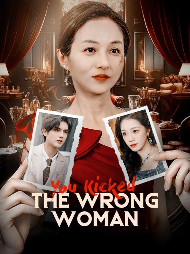 You Kicked the Wrong Woman poster