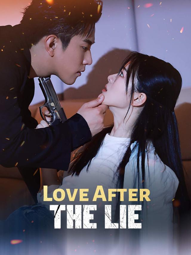 Love After the Lie poster