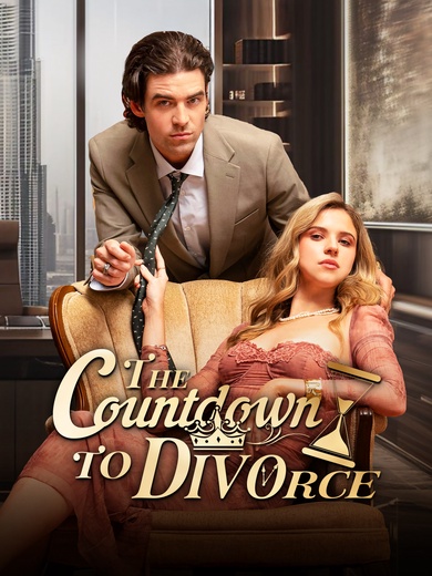 The Countdown to Divorce poster
