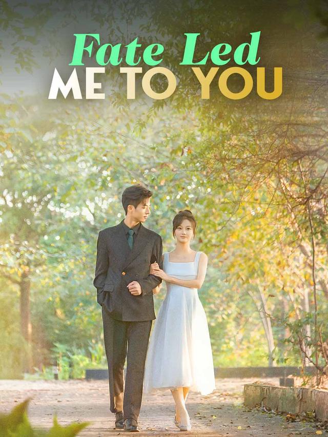 Fate Led Me to You poster