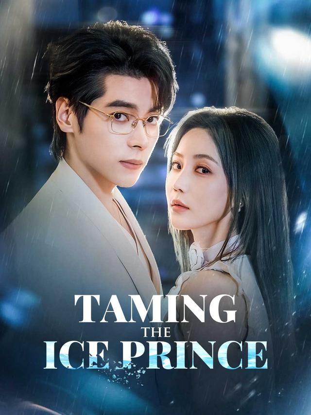 Taming the Ice Prince poster