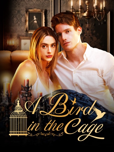 A Bird In The Cage poster