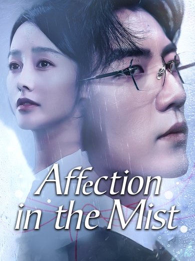 Affection in the Mist poster