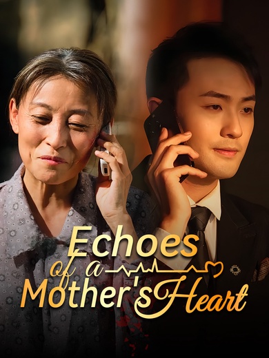 Echoes of a Mother's Heart poster