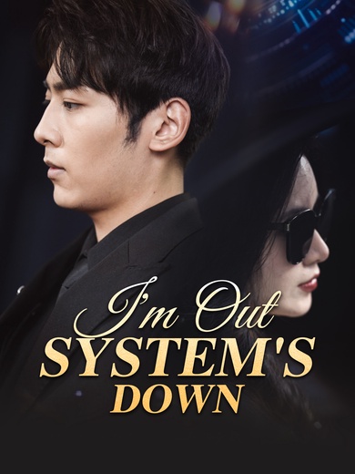 I'm Out, System's Down poster
