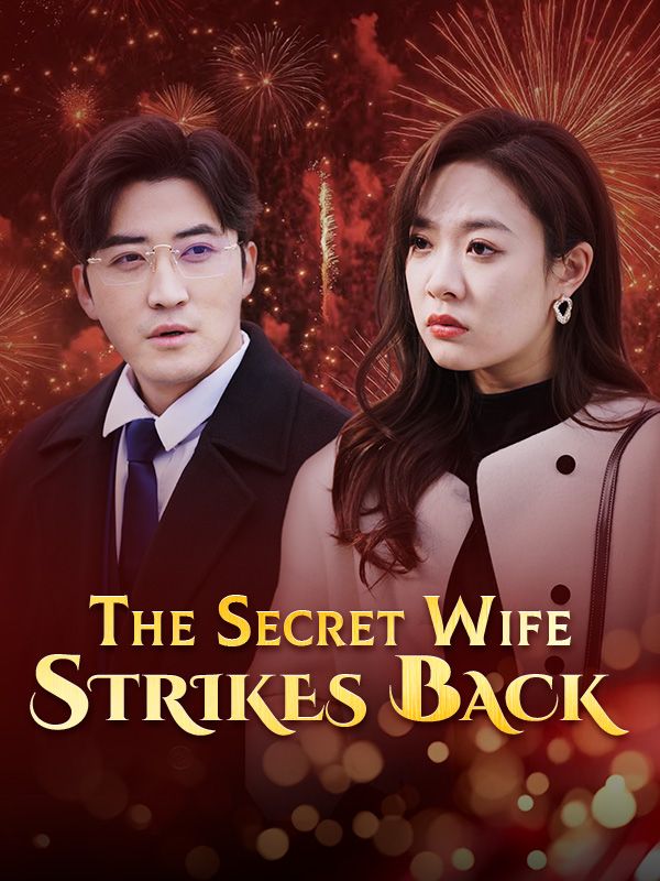 The Secret Wife Strikes Back poster