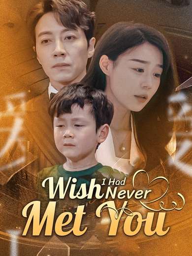 Wish I Had Never Met You poster