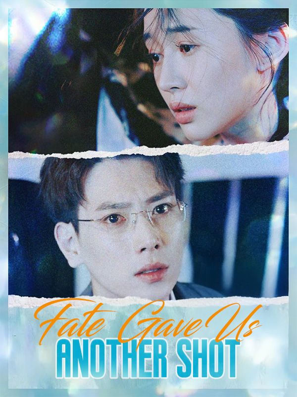 Fate Gave Us Another Shot poster