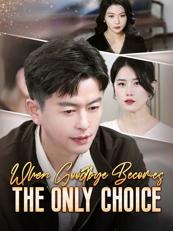 When Goodbye Becomes the Only Choice poster