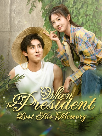 When The President Lost His Memory poster