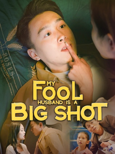 My Fool Husband Is A Big Shot poster