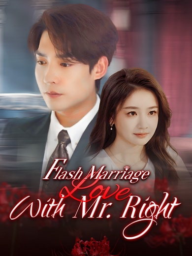 Flash Marriage With Mr. Right poster