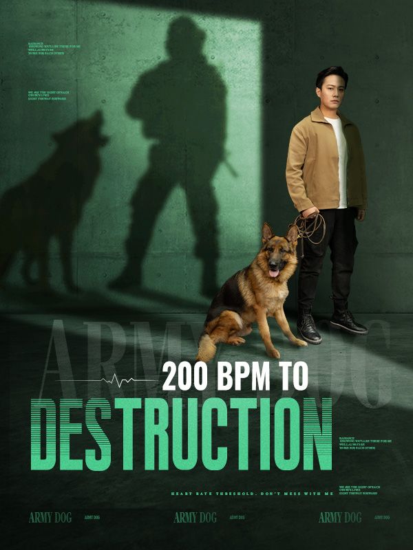 200 BPM to Destruction poster