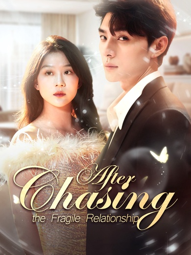 Chasing After the Fragile Relationship poster