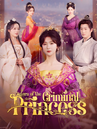 Return of the Criminal Princess poster