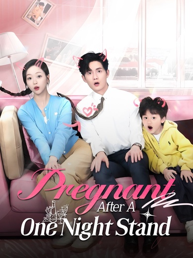 Pregnant After A One Night Stand poster